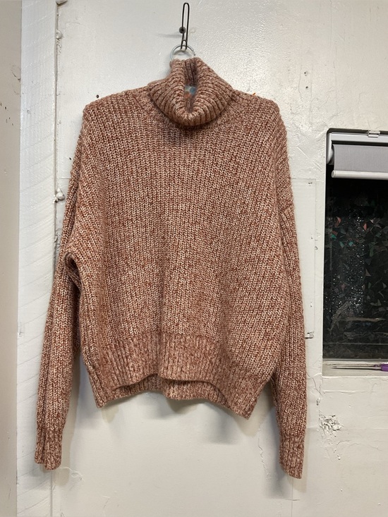 Future Collective Sweaters - Future Collective Reese Blutstein Chunky Turtleneck Sweater